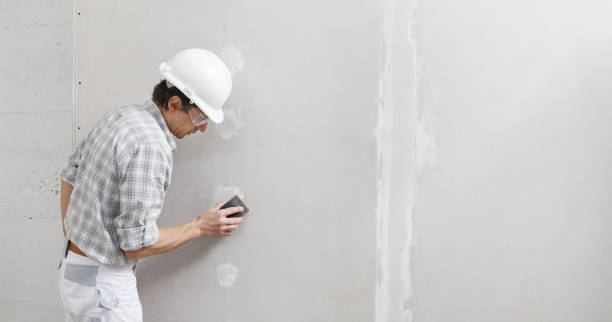 Best Fire-Damaged Drywall Repair  in Bement, IL